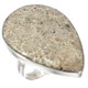 Teardrop Indonesian Fossil Coral Sterling Silver Us 7 Ring, 1 1/4"