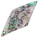 New Zealand Paua Abalone Shell 925 Sterling Silver Pendant, 2"