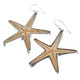 925 Silver Sea Star Seastar Starfish In Clear Resin Earrings, 1 1/4"