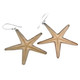 925 Silver Sea Star Seastar Starfish In Clear Resin Earrings, 1 1/4"