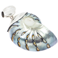 925 Silver Blue Iridescent Batik Polish Nautilus Shell Sterling Pendant, 2 1/2"