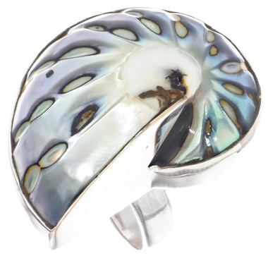 925 Silver Batik Iridescent Blue Nautilus Shell Sterling Ring, 1 1/8"