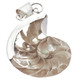 925 Silver Design Nautilus Shell Sterling Pendant, 2"