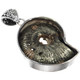 Pyritized Ammonite 925 Sterling Silver Pendant, 1 3/4"