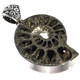 Pyritized Ammonite 925 Sterling Silver Pendant, 1 3/4"