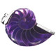 925 Silver Cool Open Purple  Nautilus Shell Sterling Pendant, 2 1/8"