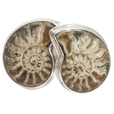 925 Silver Madagascar Ammonite Fossil Stud Post Earrings, 7/8"