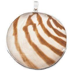 Round Genuine Tiger Pattern Nautilus Shell Sterling Silver Pendant, 2 1/4"