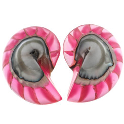 925 Silver Pink Resin Fill Nautilus Shell Chamber Sterling Stud Earrings, 1.2"