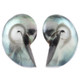 925 Silver Pearlescent Blue Nautilus Shell Sterling Stud Earrings, 1.2"