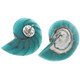 925 Silver Turquoise Blue Resin Fill Nautilus Shell Sterling Stud Earrings, 1.3"