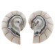 925 Silver White Resin Fill Nautilus Shell Chamber Sterling Stud Earrings, 1.1"
