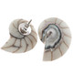 925 Silver White Resin Fill Nautilus Shell Chamber Sterling Stud Earrings, 1.1"