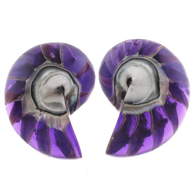 925 Silver Purple Resin Fill Nautilus Shell Chamber Sterling Stud Earrings, 1.2"