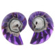 925 Silver Purple Resin Fill Nautilus Shell Chamber Sterling Stud Earrings, 1.2"