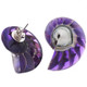 925 Silver Purple Resin Fill Nautilus Shell Chamber Sterling Stud Earrings, 1.2"