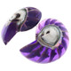 925 Silver Purple Resin Fill Nautilus Shell Chamber Sterling Stud Earrings, 1.2"
