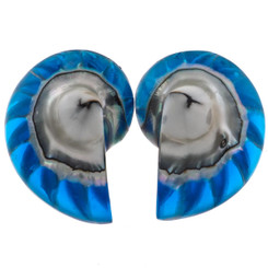 925 Silver Blue Resin Fill Nautilus Shell Chamber Sterling Stud Earrings, 1.2"