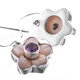 9/16" 925 Silver Pink Mother Of Pearl Amethyst Shell French Wires Earrings