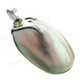 1 5/8" 925 Silver Peridot Aquamarine Abalone Shell Pendant
