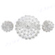 925 Silver Flower Brooche Earring