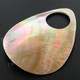 Finding Shell 2 15/16"(75mm) Brownlip