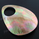 Finding Shell 2 15/16"(75mm) Brownlip