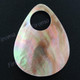 Finding Shell 2 15/16"(75mm) Brownlip