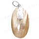 1 3/4" 925 Silver Gold Turbo Shell Pendant