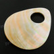Finding Shell 2 15/16"(75mm) Goldlip