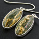 13/16" 925 Silver Botswana Agate French Wires Earrings