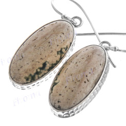 13/16" 925 Silver Botswana Agate French Wires Earrings