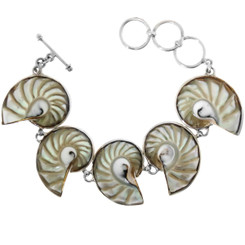 925 Silver Genuine Nautilus Shell 8" Toggle Bracelet