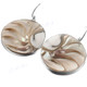 925 Sterling Silver Nautilus Shell Round us French Earrings