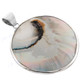 2 3/16" 925 Silver Genuine Nautilus Shell Round us Pendant