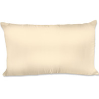 Spasilk Satin Pillowcase, Queen, Gold