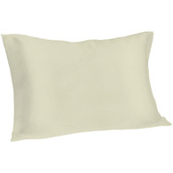Spasilk 100% Silk Pillowcase, Standard/Queen, Ivory