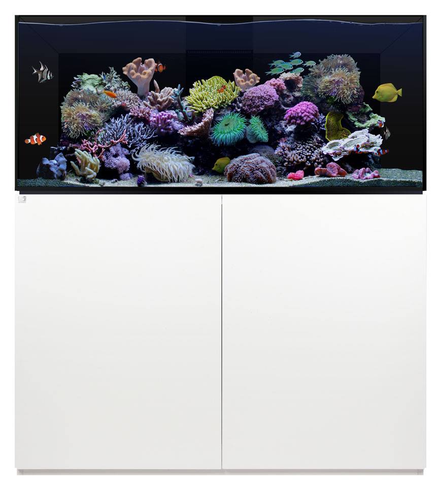 buying a waterbox or