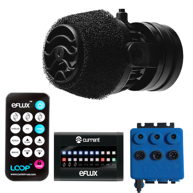 eflux loop accessory wave pump 660 gph complete kit current usa
