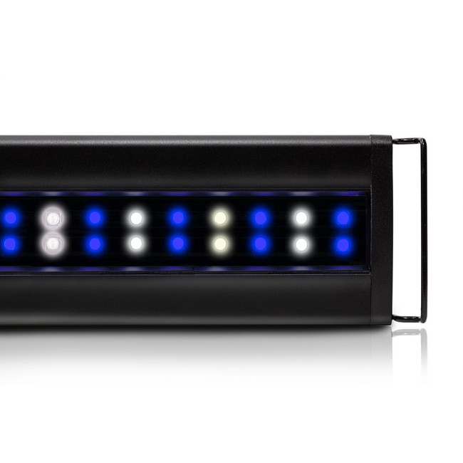 orbit marine ic loop