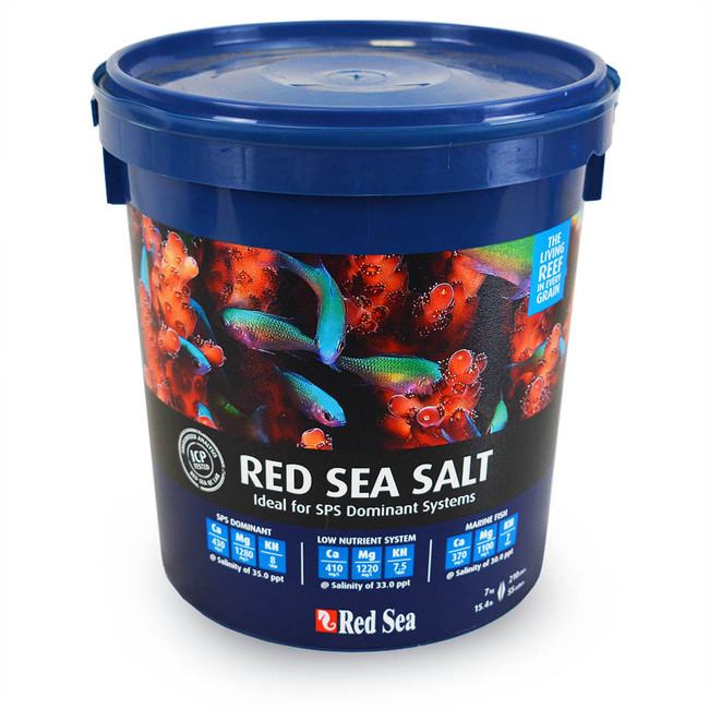 blue large bucket red