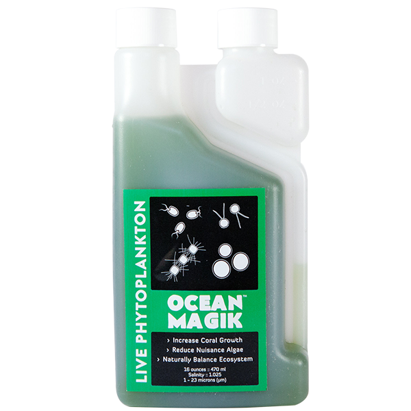 oceanmagik 8 oz live