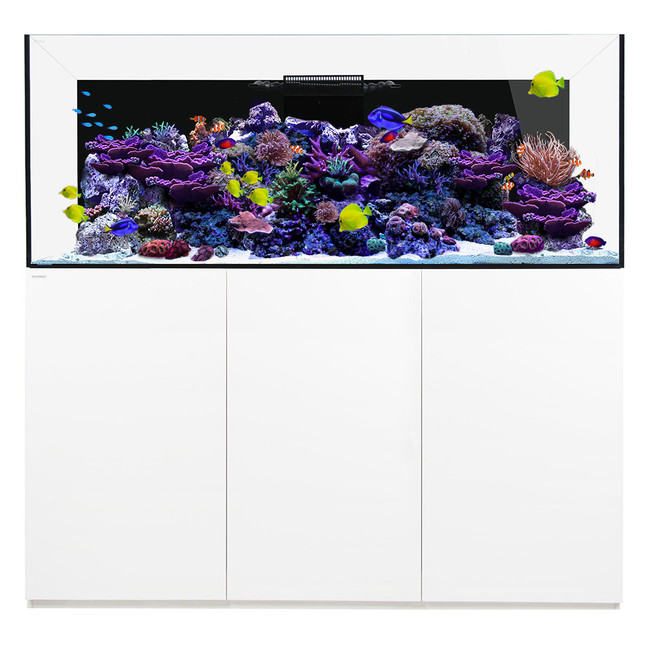 reef pro 230 6