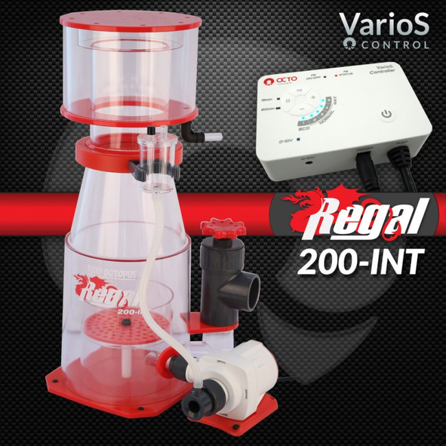 regal 200 int protein