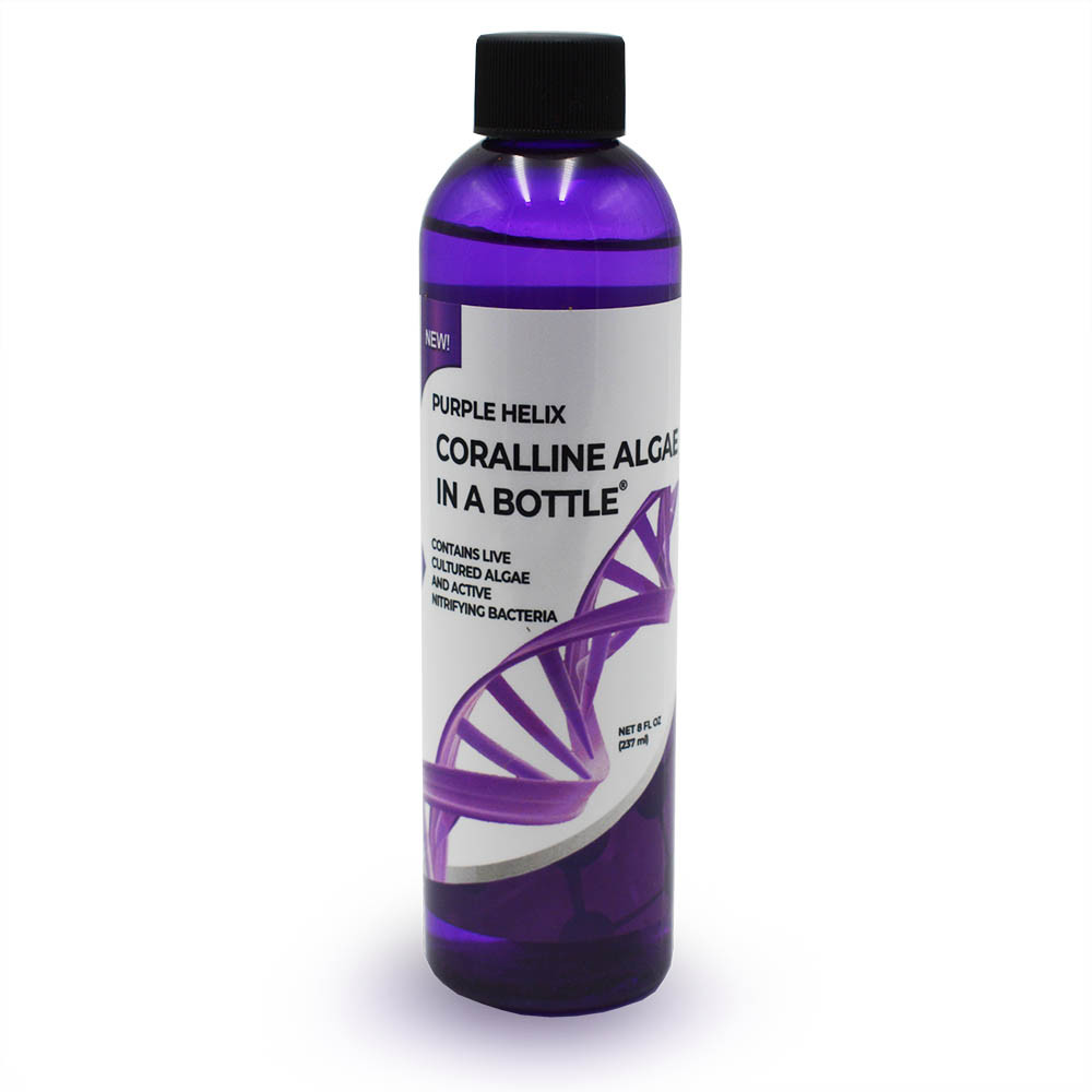 Purple Helix - Live Purple Coralline Algae in a Bottle (8 ...