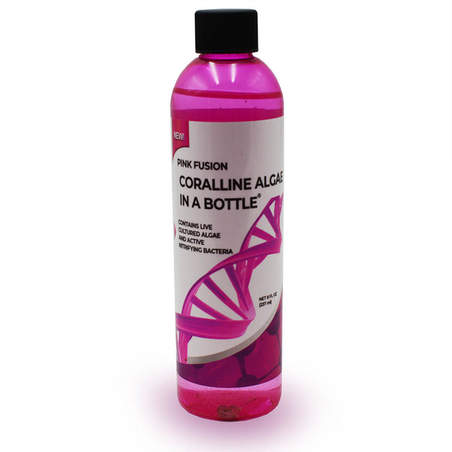 Pink Fusion - Live Pink Coralline Algae in a Bottle (8 oz ...