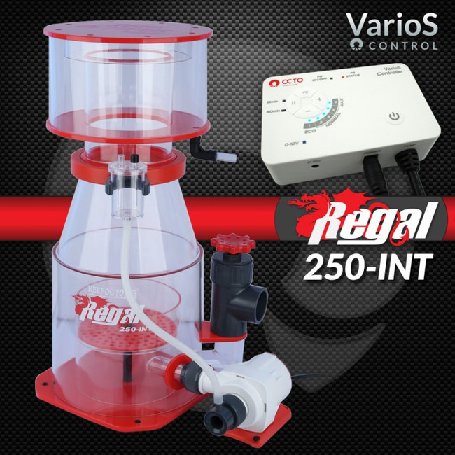 regal 250 int protein
