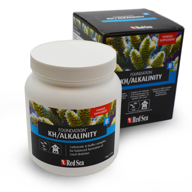 reef foundation b dry