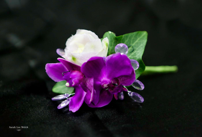 Orchid Boutonniere Fresh Flowers Loveland Florist Earle S Loveland