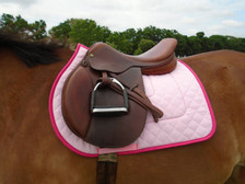 Pink with Raspberry Trim Horse Saddle Pad Front View